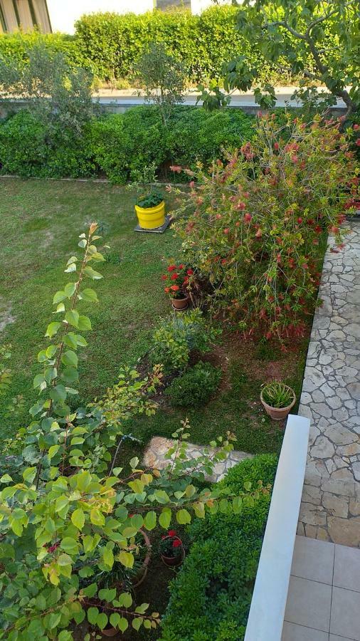 Apartment Manda Zadar Exterior foto