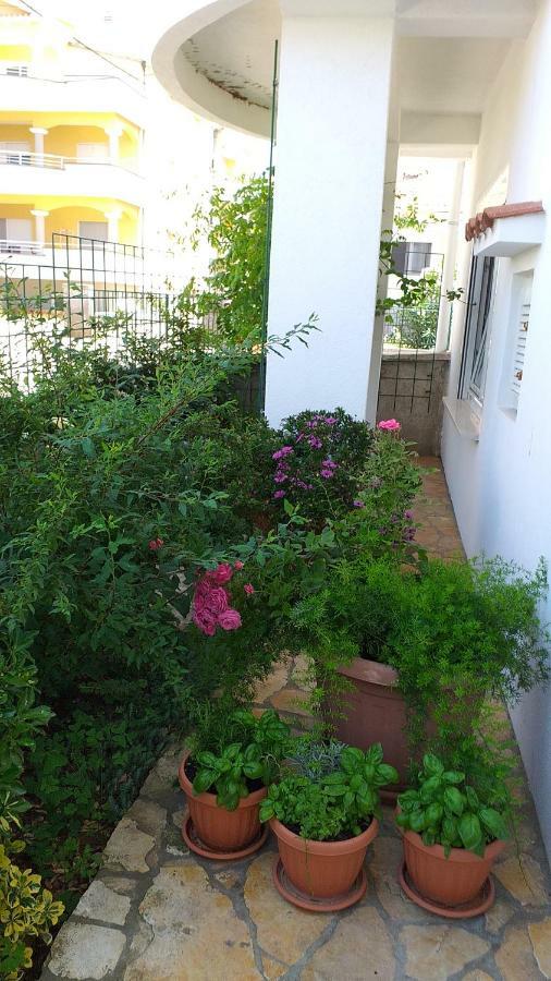 Apartment Manda Zadar Exterior foto